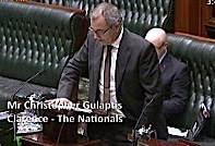 Chris Gulaptis MP's 'Smoke Alarms' Speech